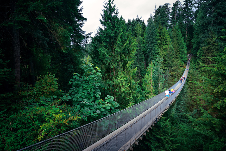 Visit three cities in the Pacific Northwest on a rail journey with Amtrak Vacations Capilano Suspension Bridge through trees in Vancouver