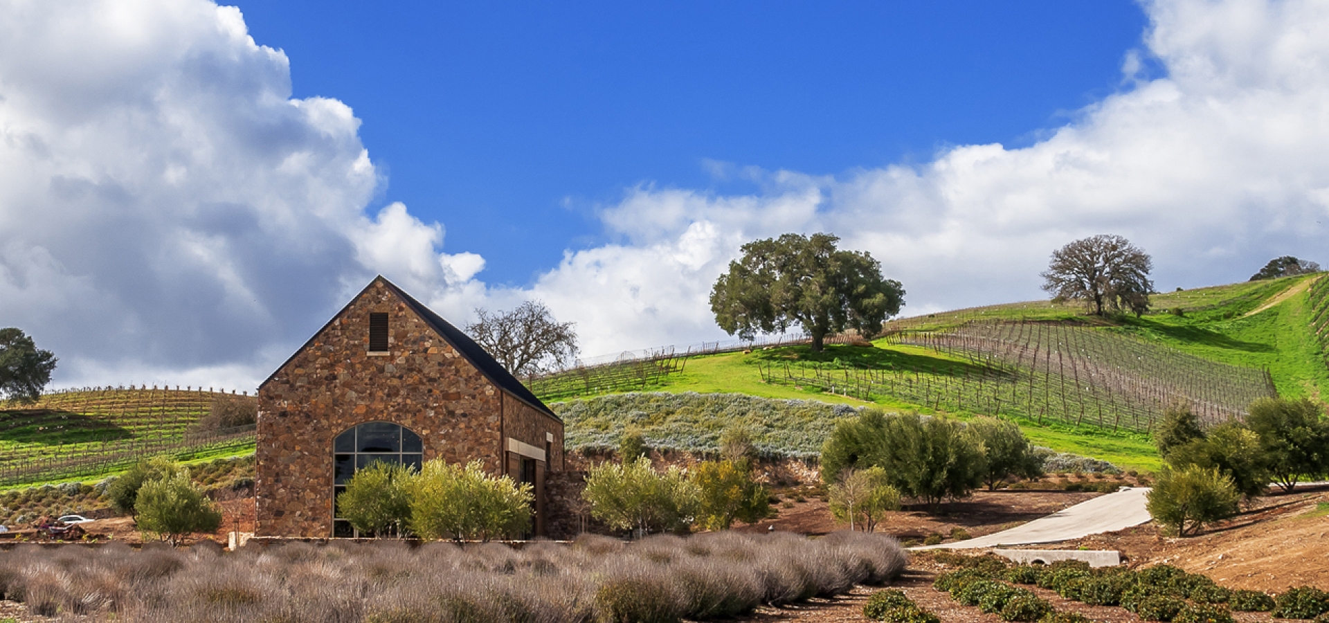Paso Robles
