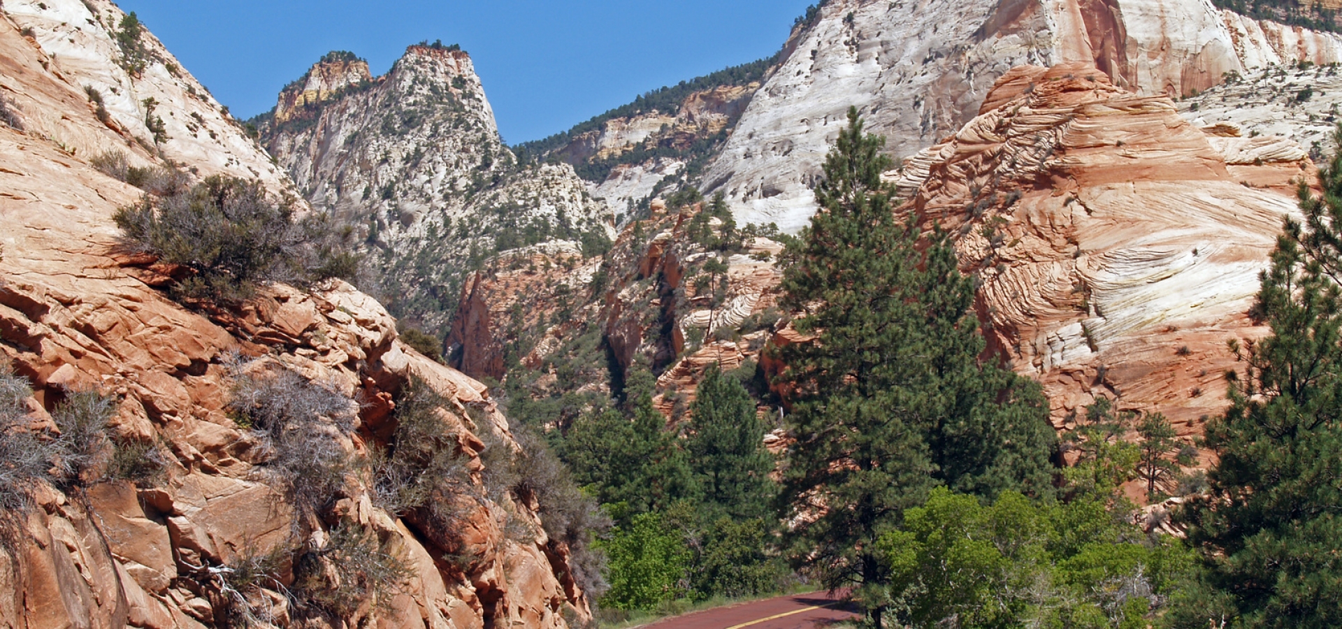 Zion National Park Vista, Springdale, Utah, U.S.A.