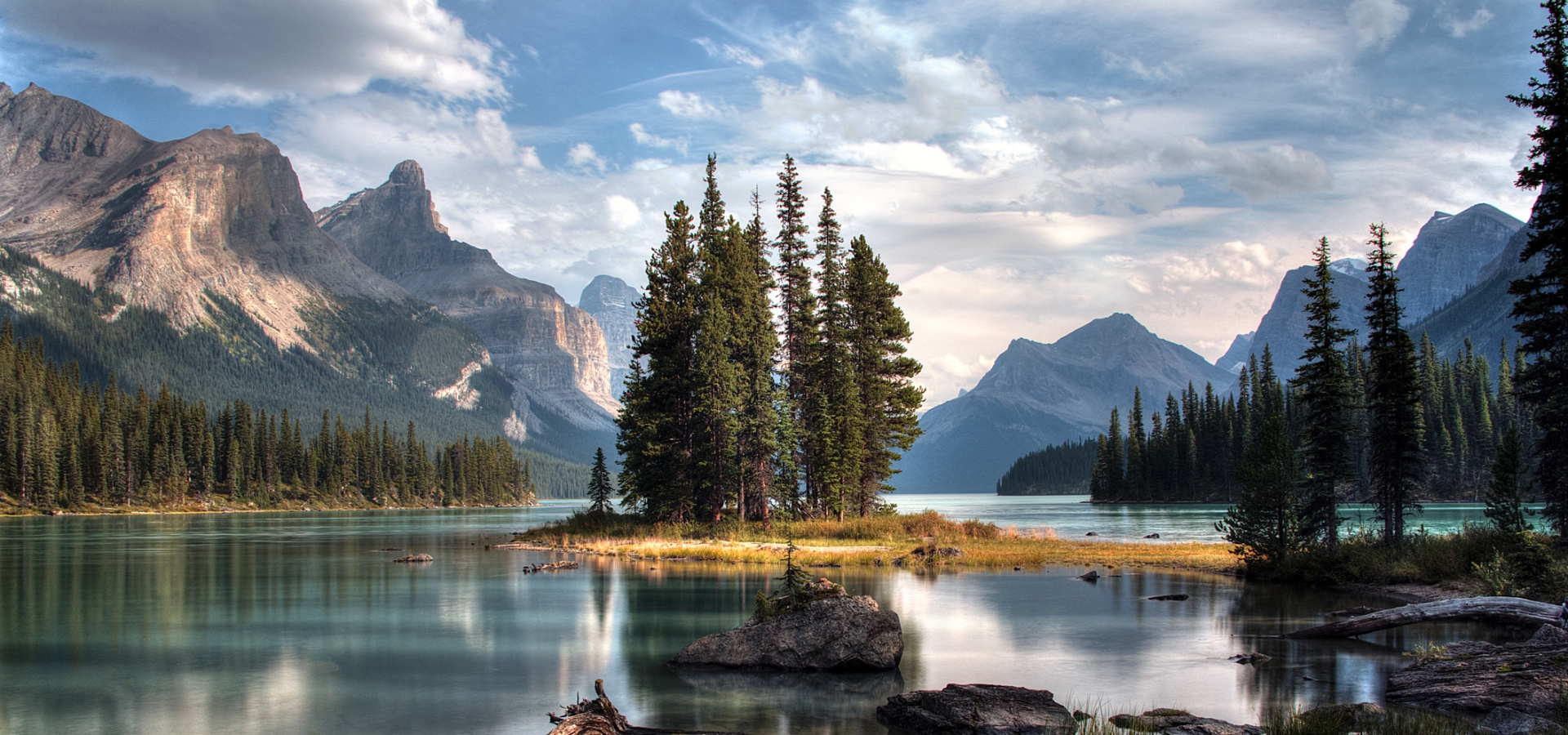 trees on a lake in canada