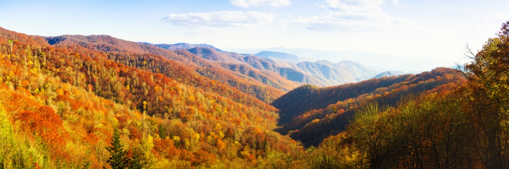 Great-Smoky-Mountains-Fall-Foliage1-1800x600