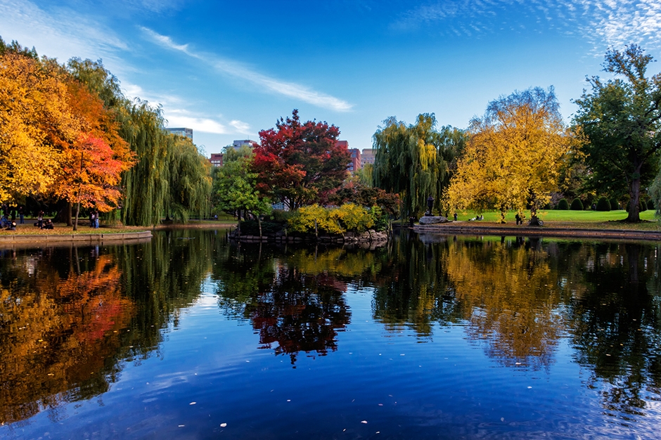 Fall foliage in New England