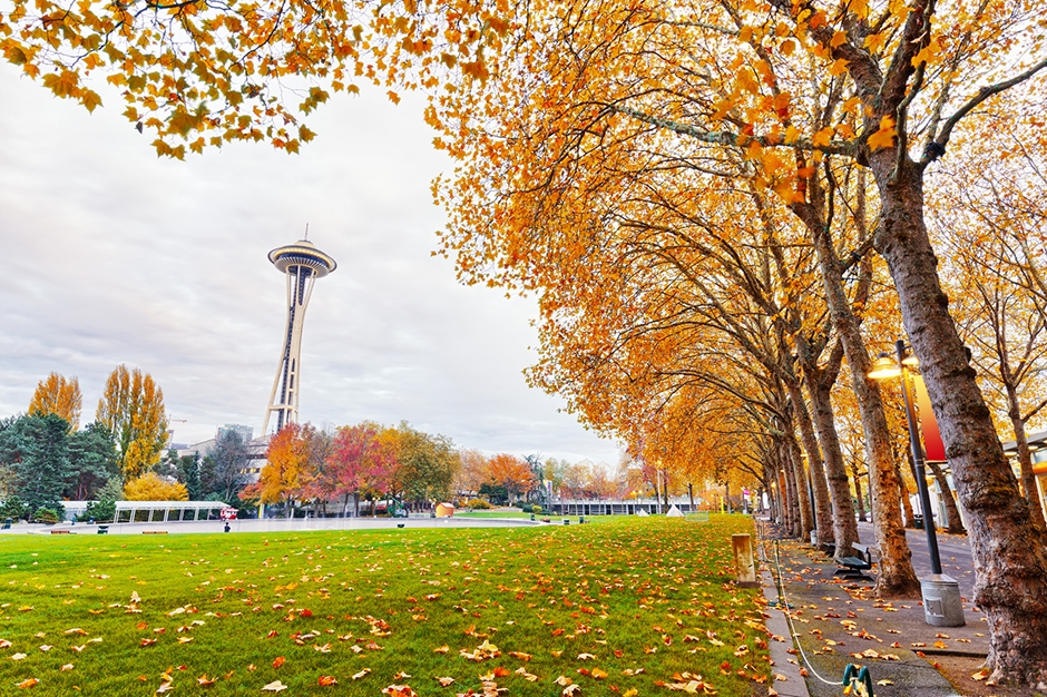 Fall foliage in Seattle